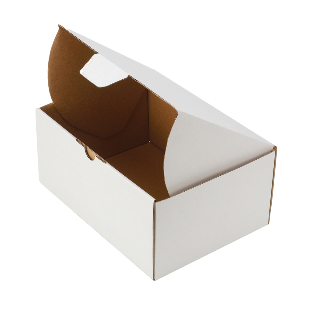 100-Pack White Mailing Boxes (220x160x100mm)