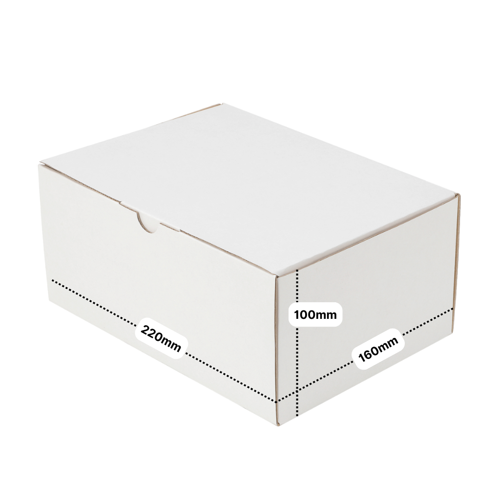 100-Pack White Mailing Boxes (220x160x100mm)