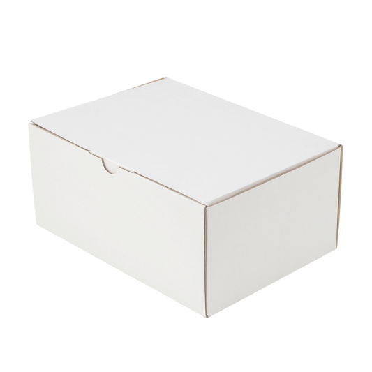 100-Pack White Mailing Boxes (220x160x100mm)