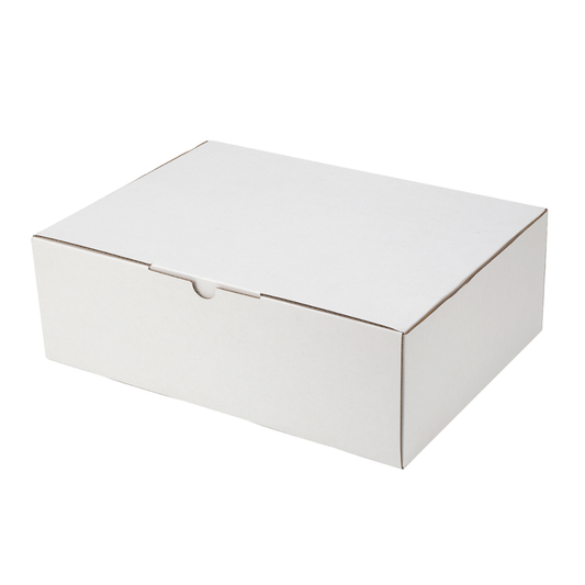 100-Pack White Mailing Boxes (310x225x102mm)